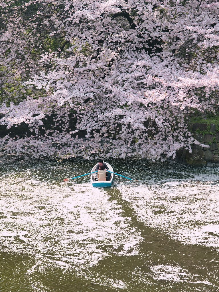 二人の人生行路