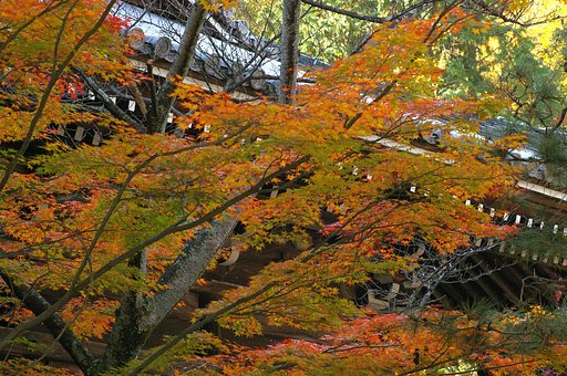 静寂