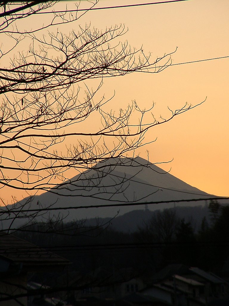 ▲日本画風の夕暮れ-13
