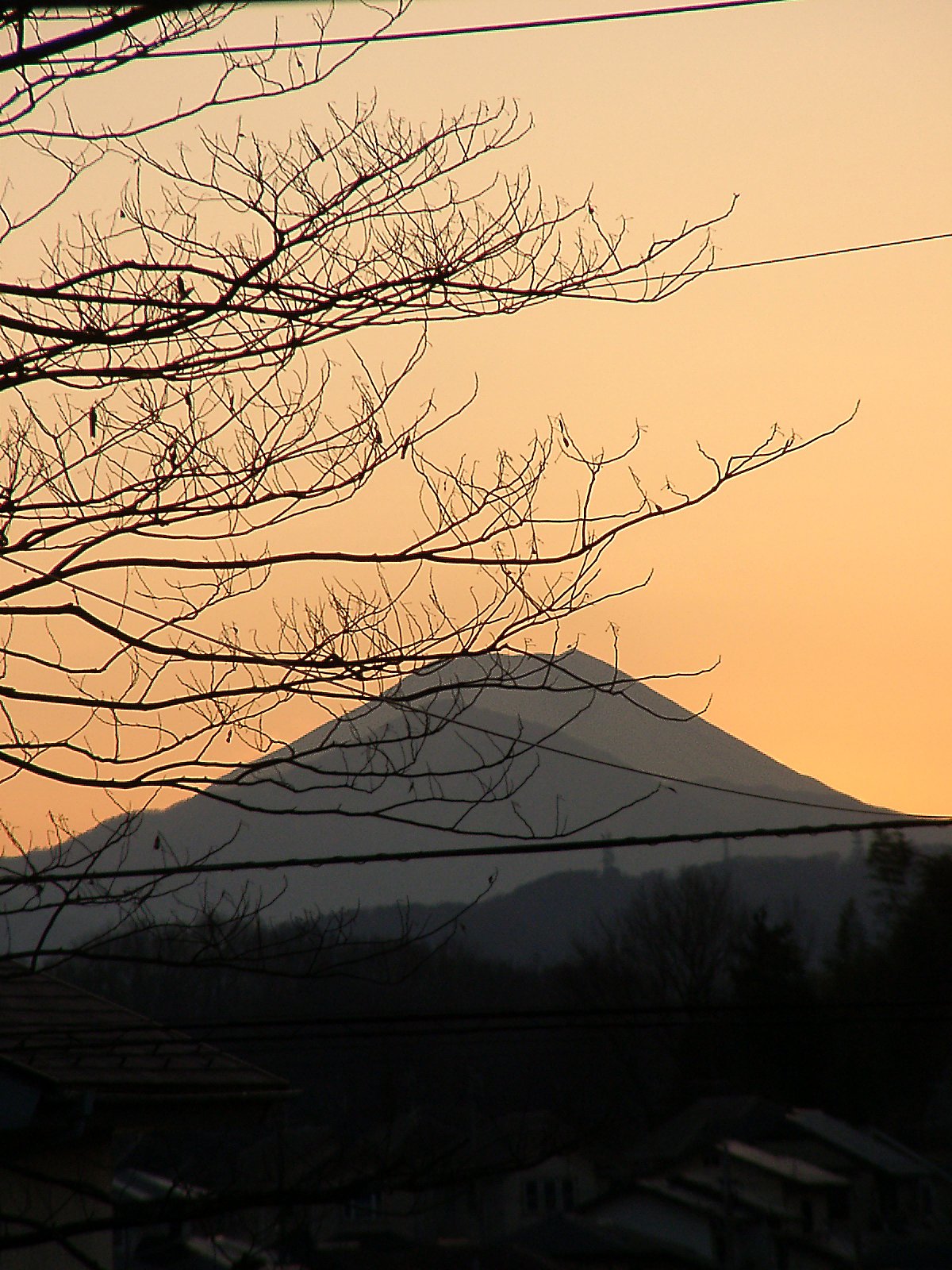 ▲日本画風の夕暮れ-13