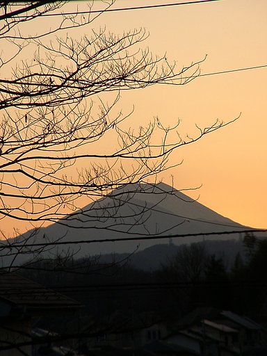 ▲日本画風の夕暮れ-13