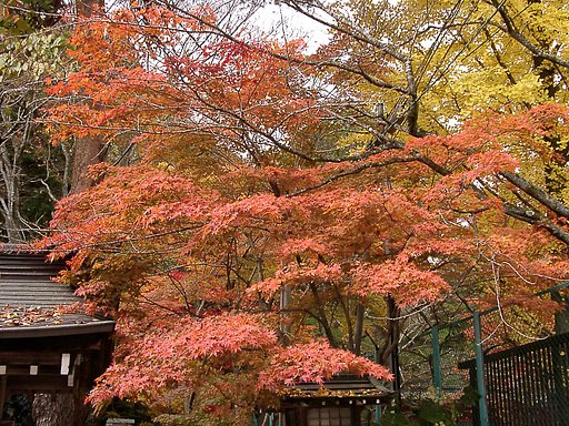 ◆紅葉スケッチ-03 仙台城跡③