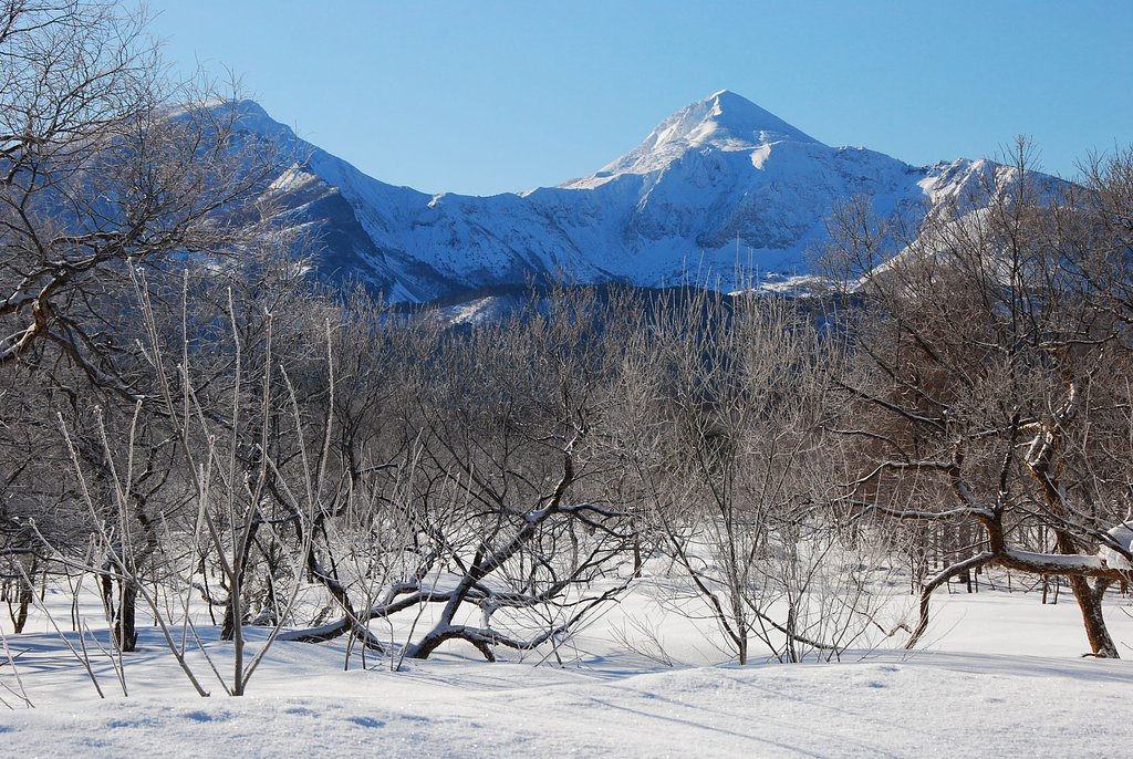 新雪・樹氷・磐梯山（会津富士）