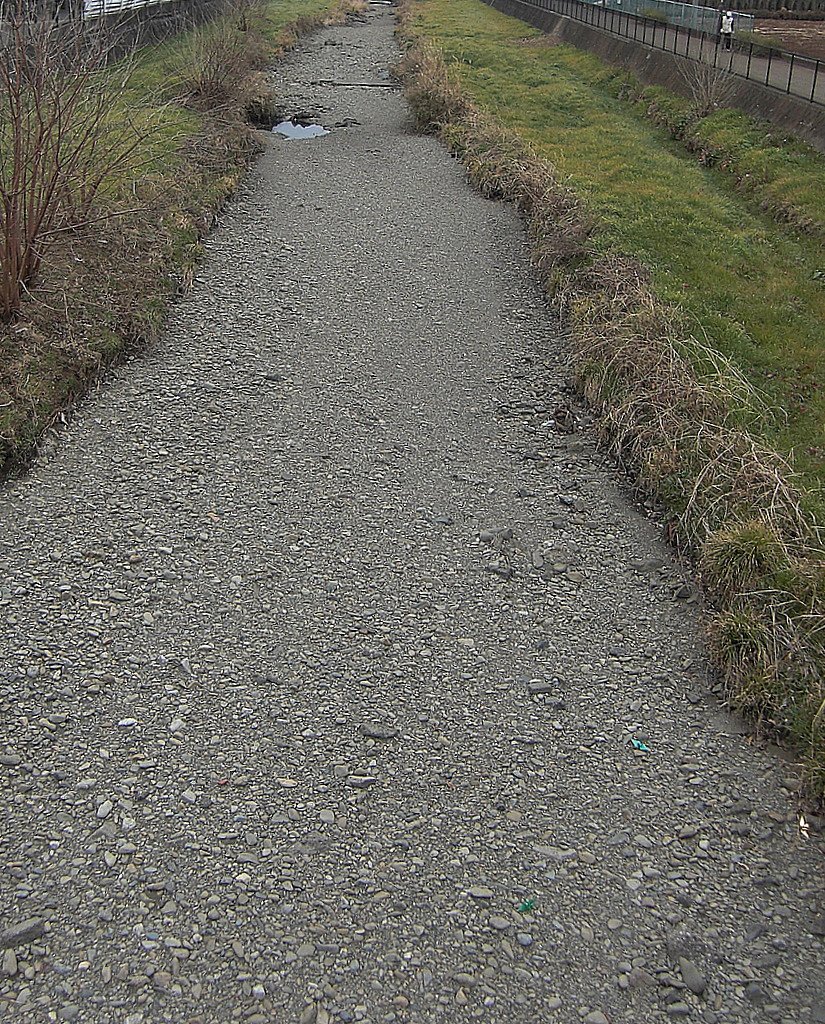 砂利道のような川の風景
