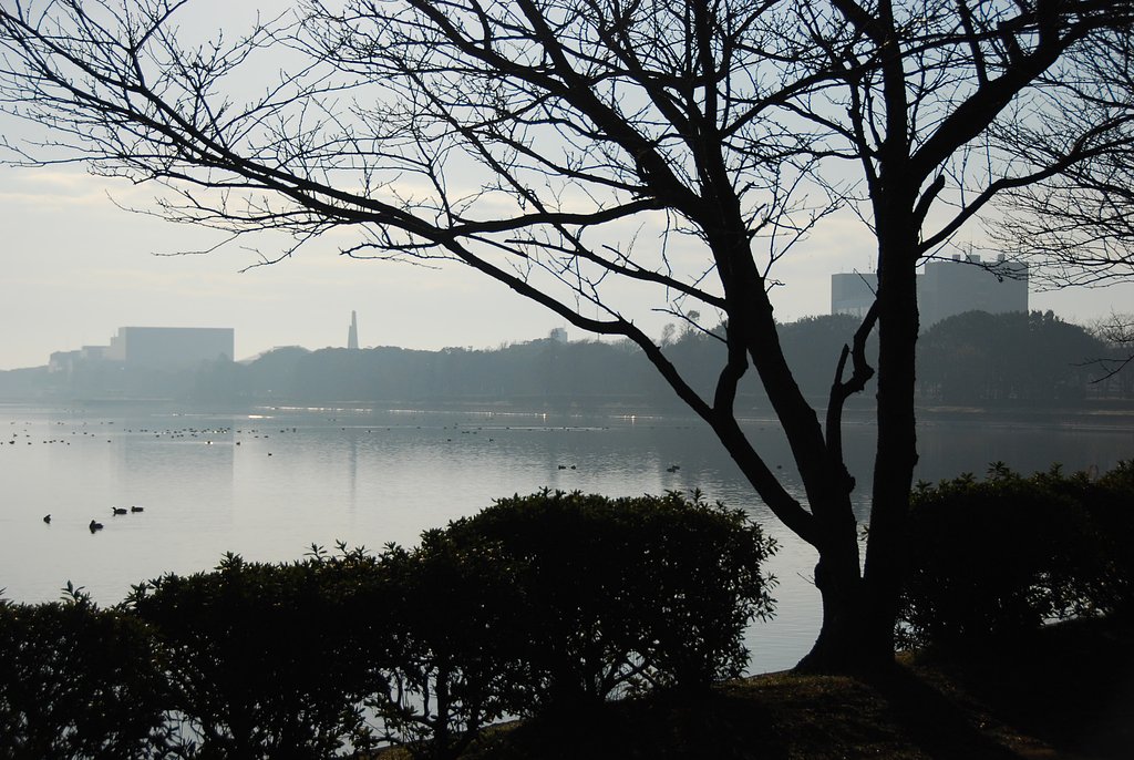 朝の公園
