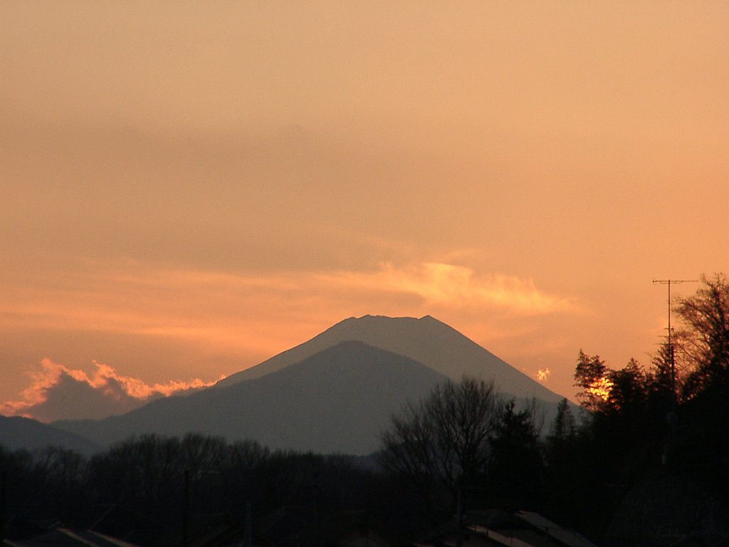▲日本画風の夕暮れ-15