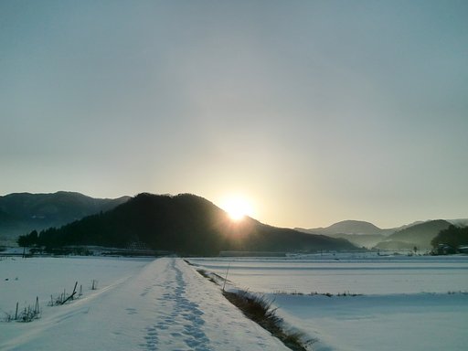 29日の朝日の出