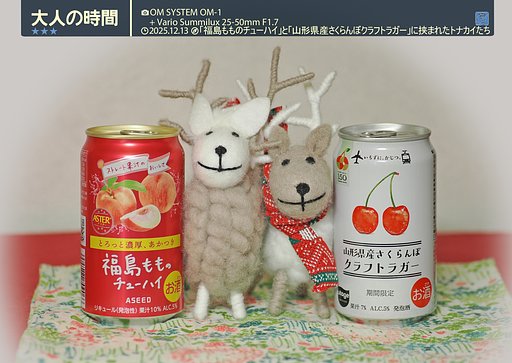 大人の時間２