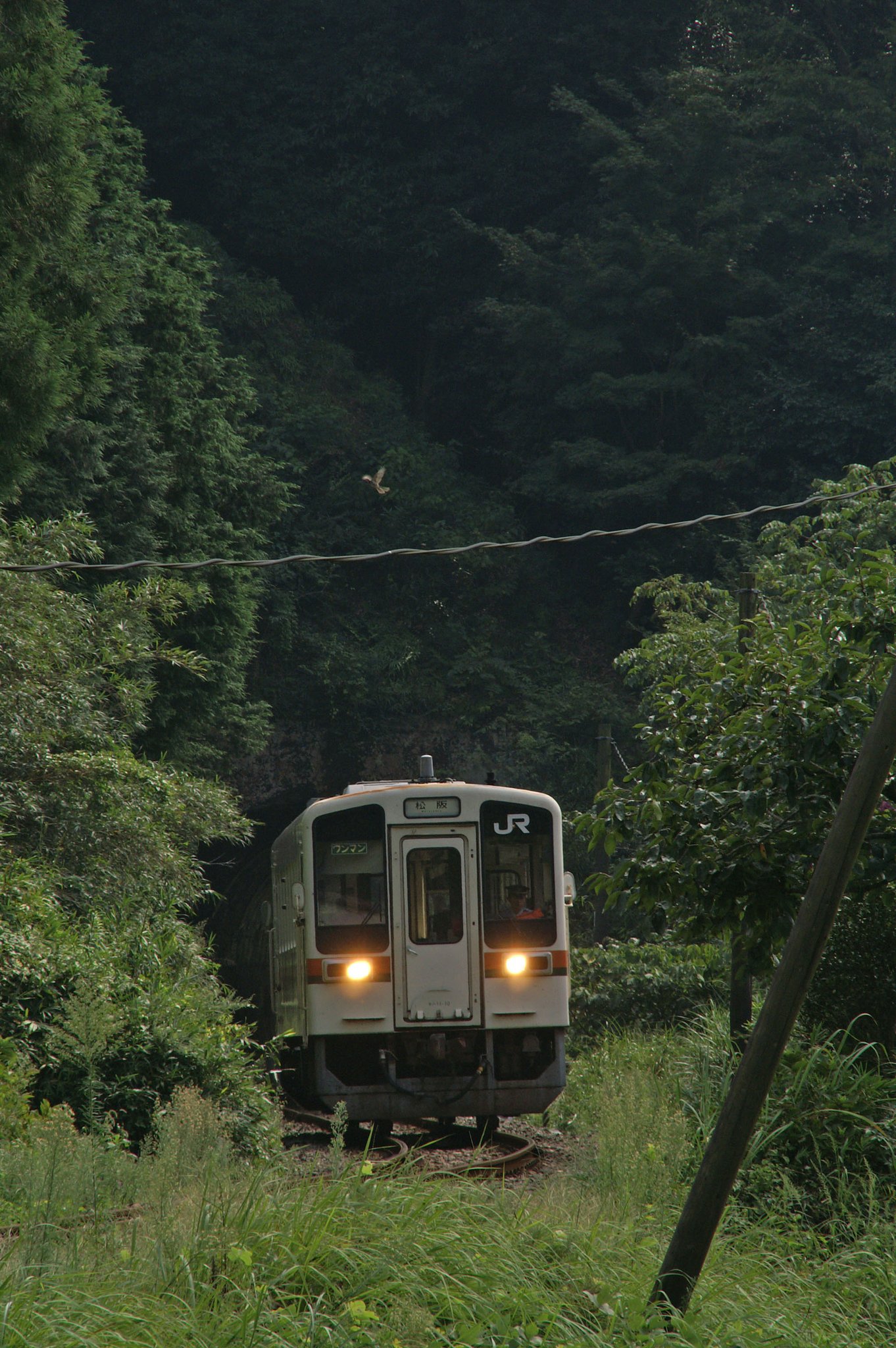名松線