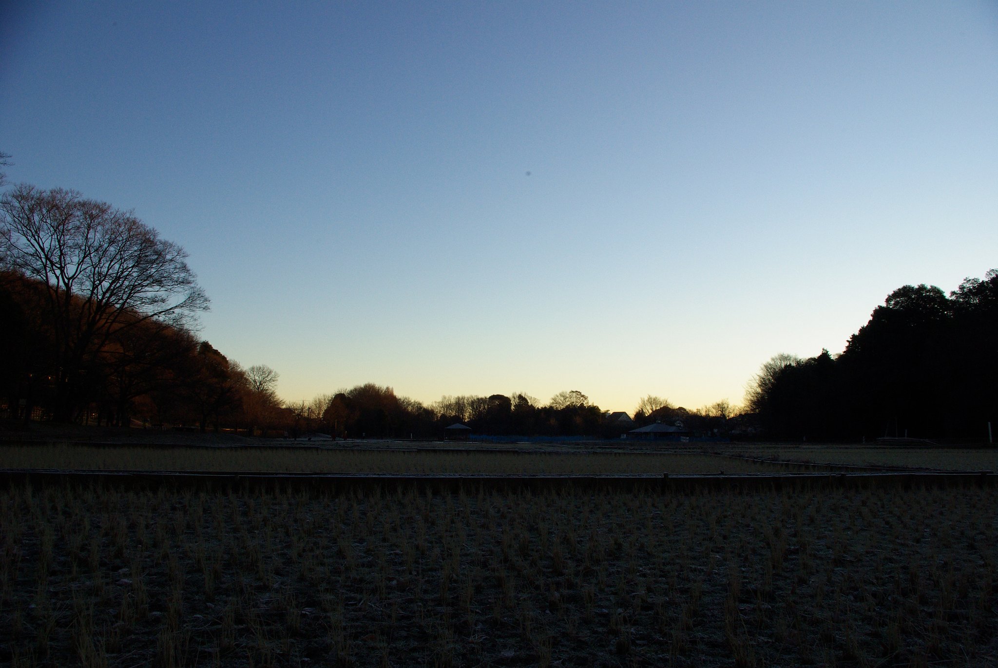 【２００８】1月…新しい年がやってきた