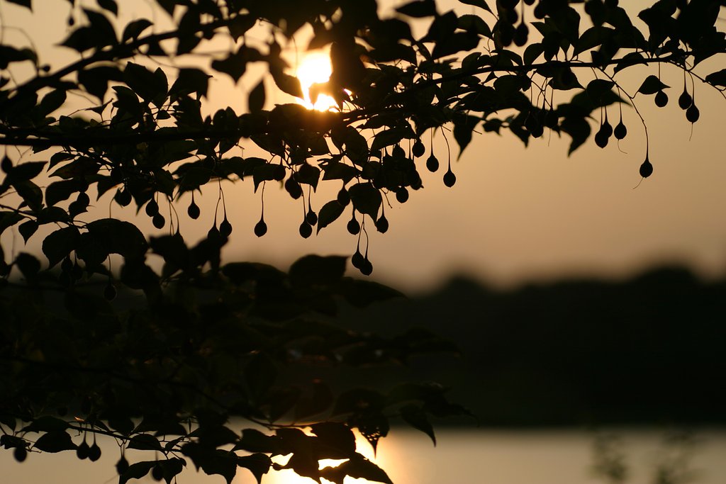 遠き山に陽は落ちて