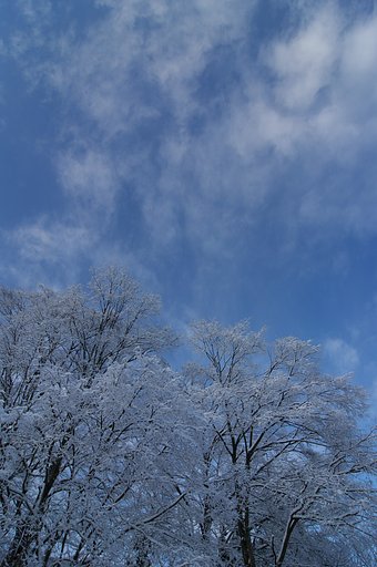 吐息