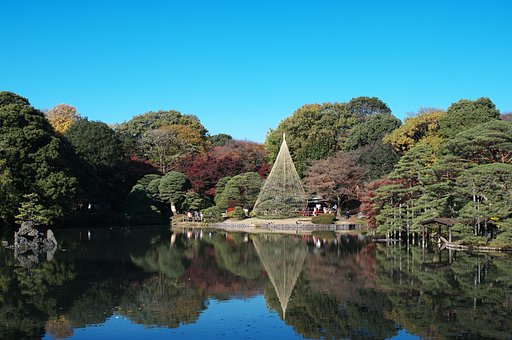 庭園・・・