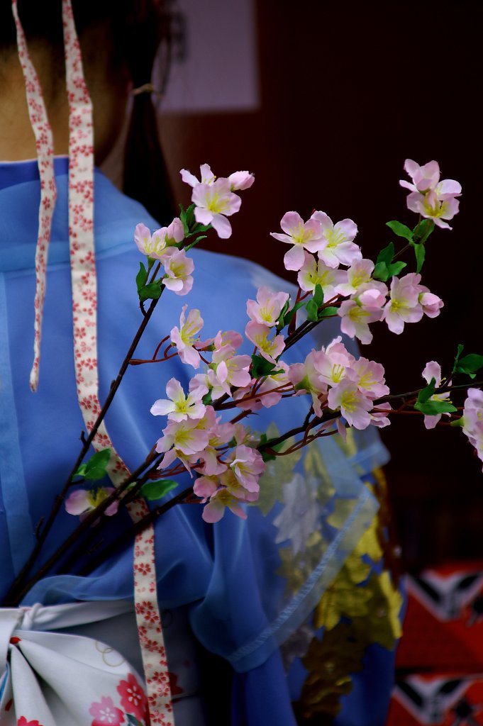 桜はさいたか？？