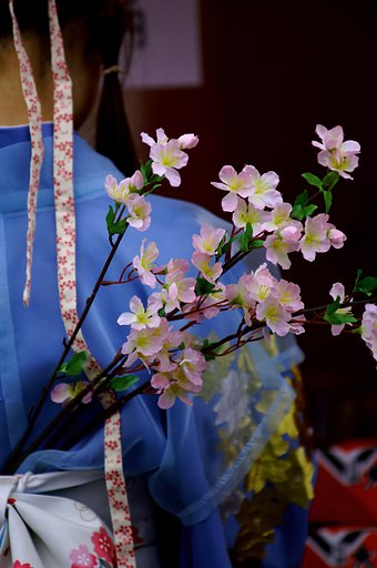 桜はさいたか？？