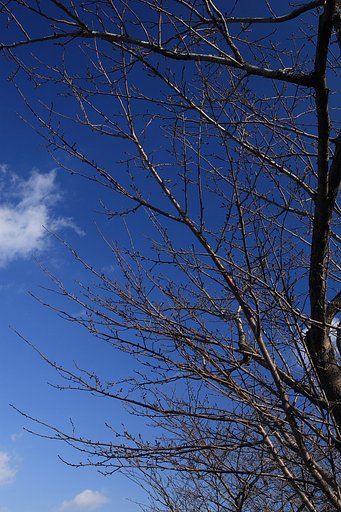 [トキメキの色]青空