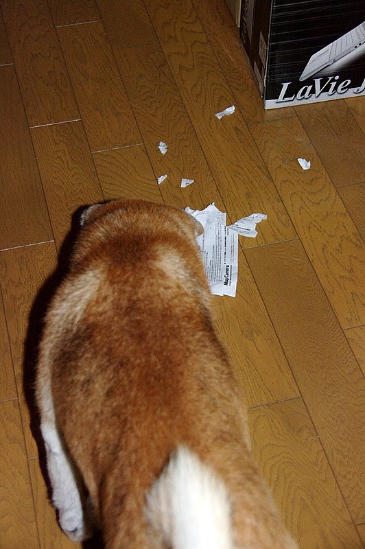 犯行現場