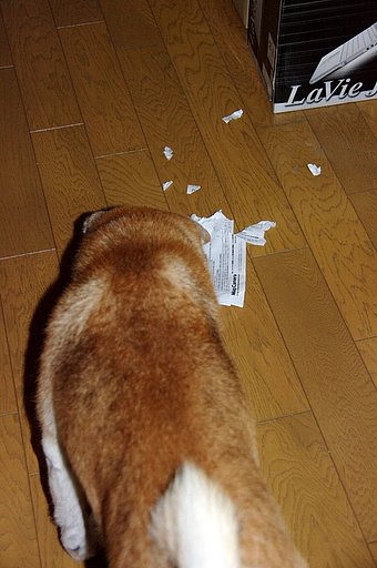 犯行現場