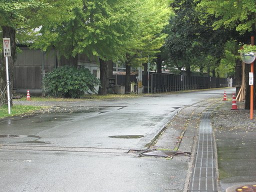 伊勢のトロッコ