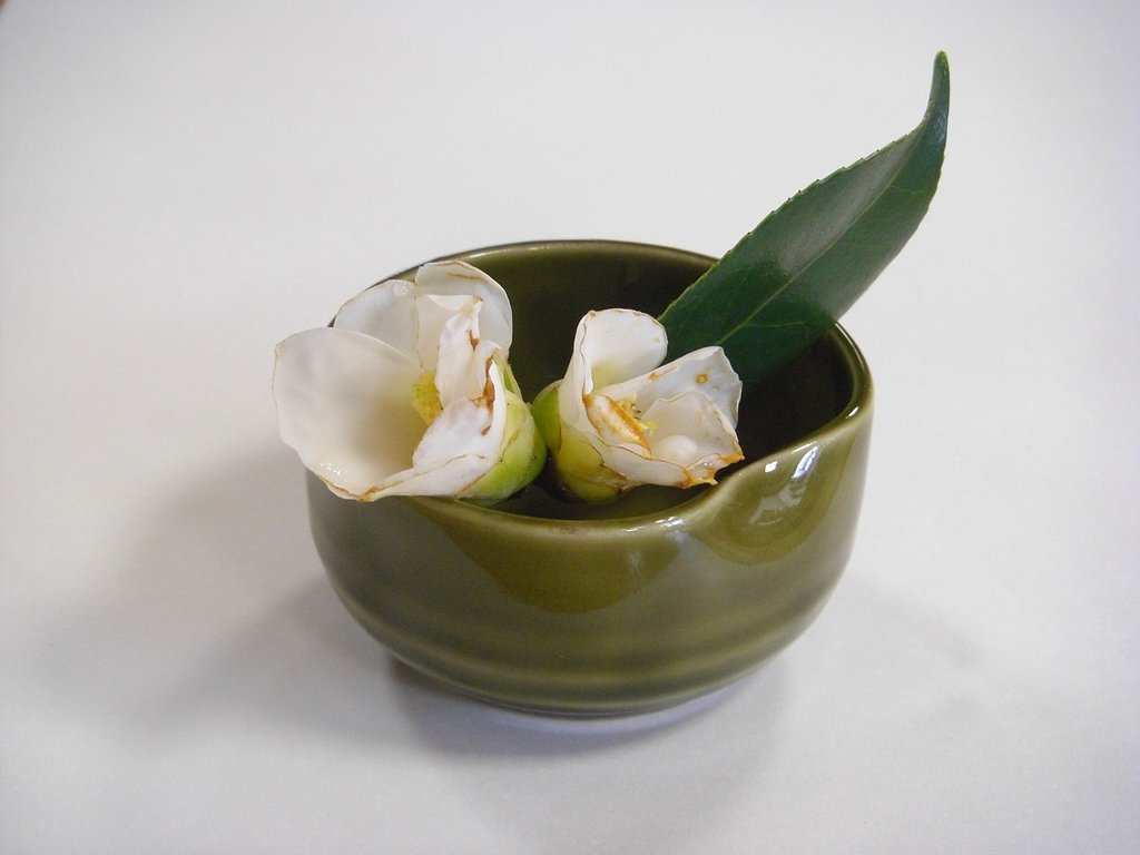 花を楽しむ