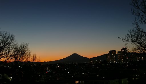 〜　撮りたて　〜