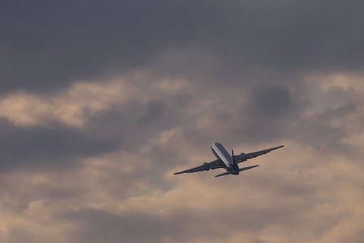 旅情