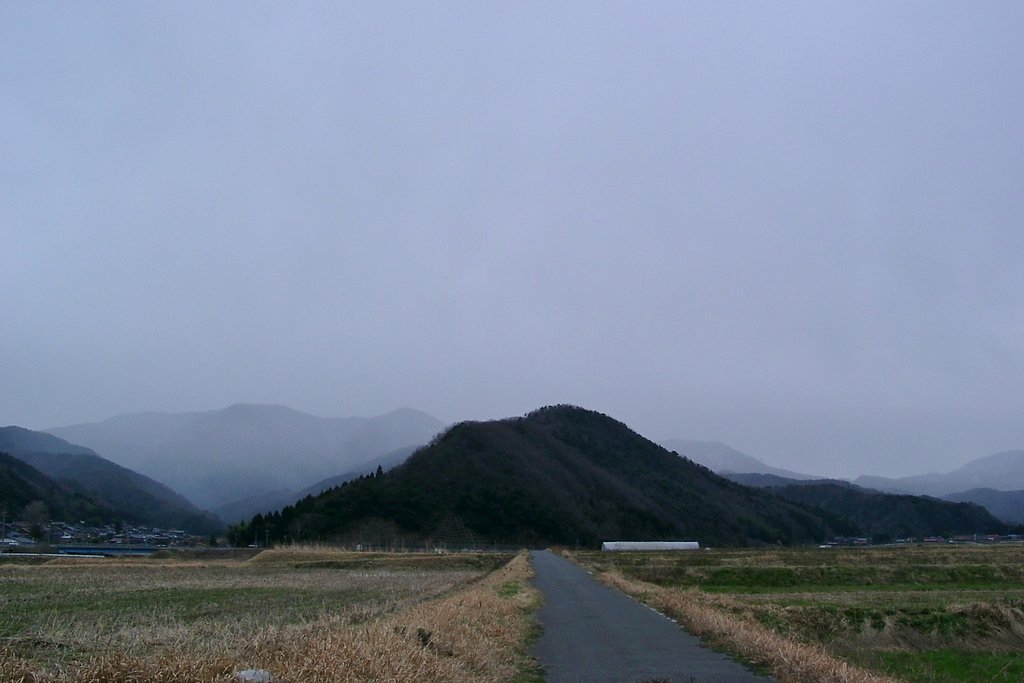 県境の山に雪が降っています！