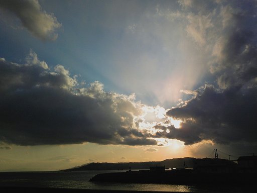 冬の空