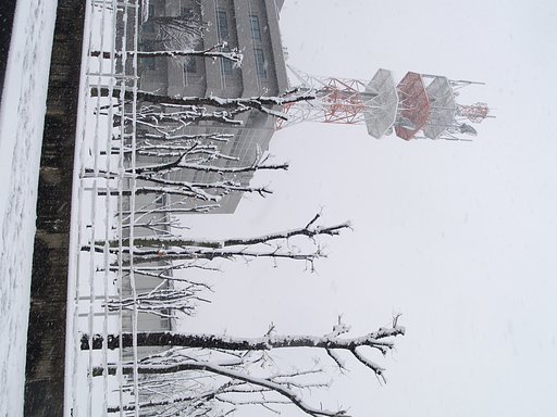 雪景色