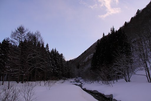 春を待つ