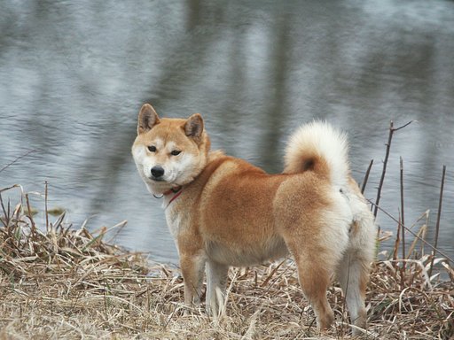 今日は帰りたくないの・・・