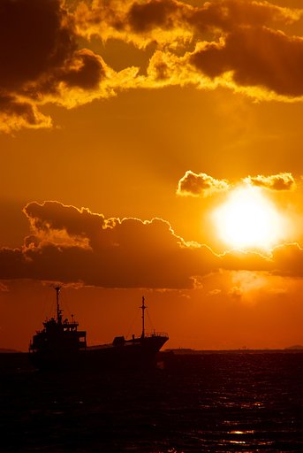 夕陽に向かって