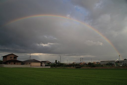 [自然]虹・全体像