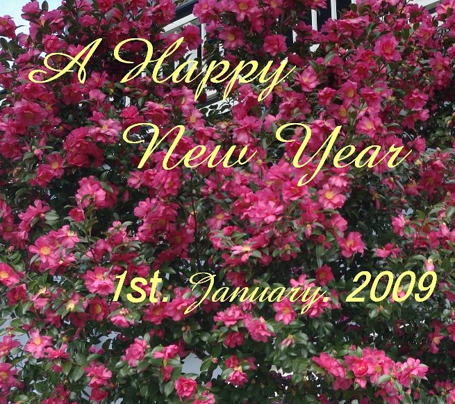 A Happy New Year