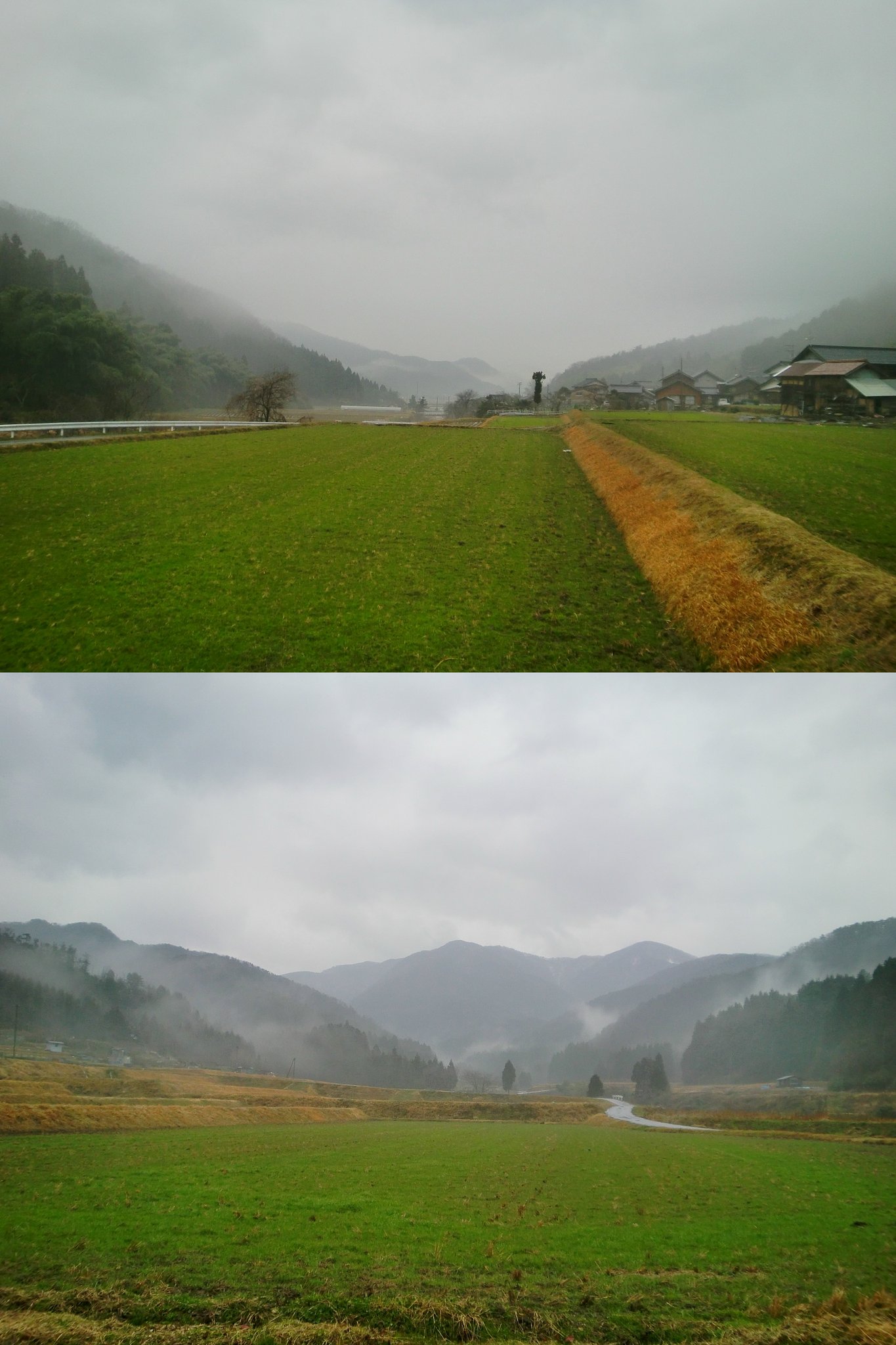 午後から結構な雨降りです。