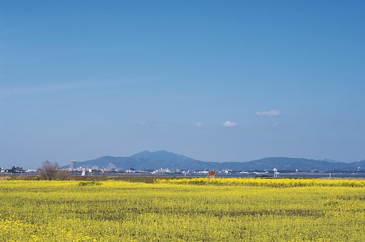 我が山、我が街、我が湖・・・
