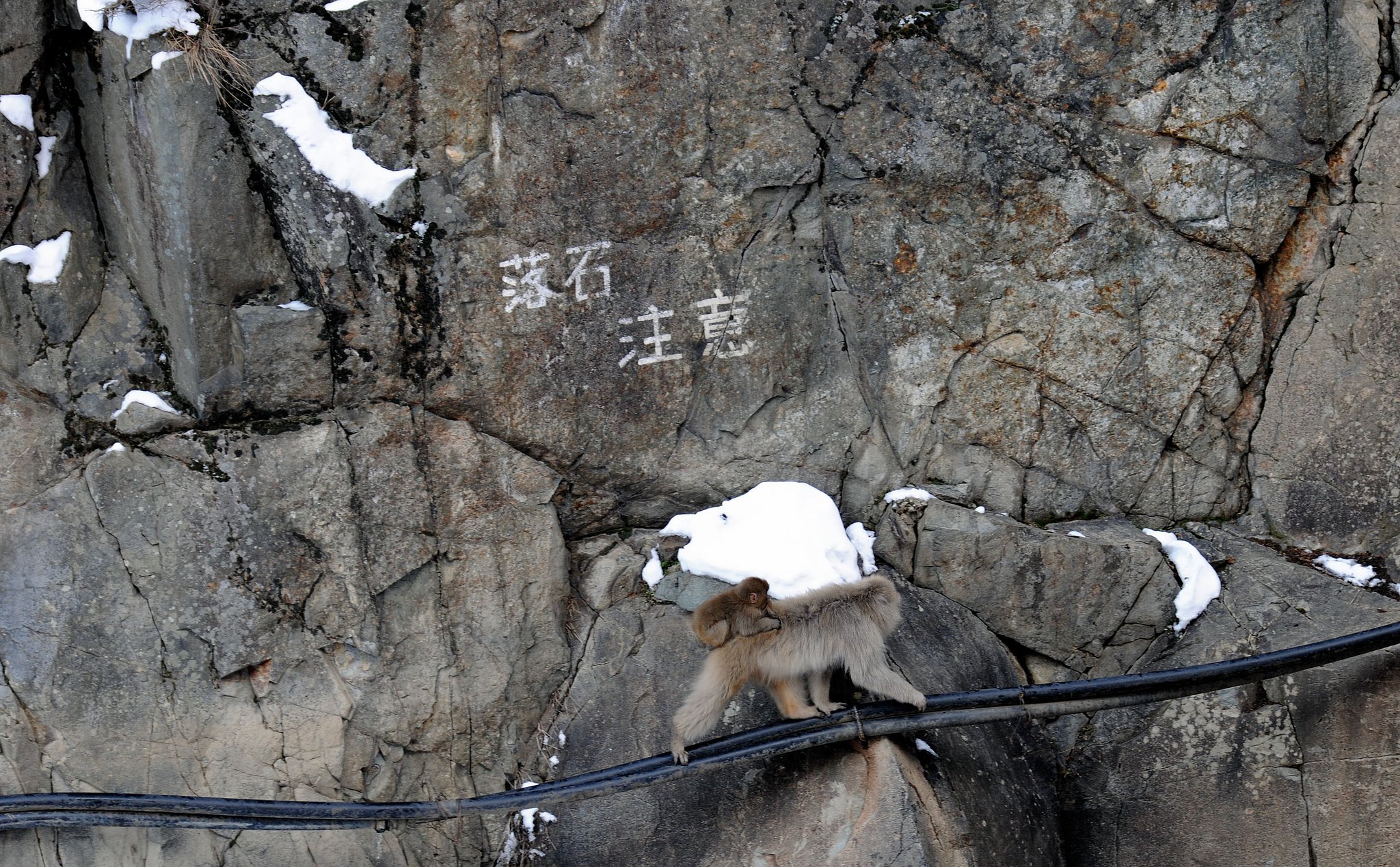 「自然」　落 石 注 意