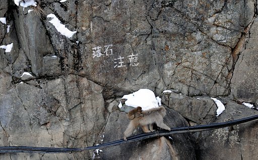 「自然」　落 石 注 意