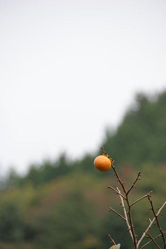 【秋影】ひとりぼっち！