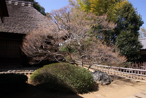 鷹見泉石記念館