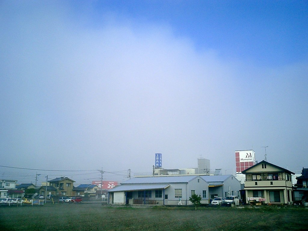 晴れてきた