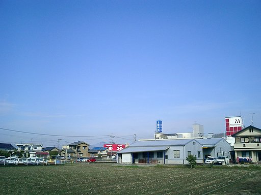 晴れました