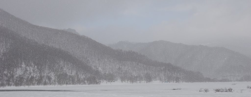 ♪雪やこんこん〜♪