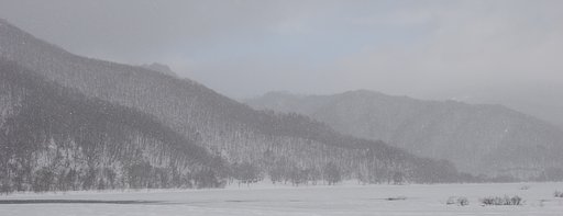 ♪雪やこんこん〜♪