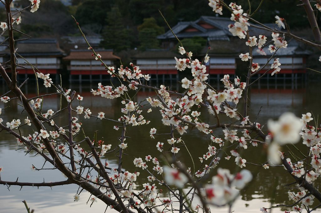 梅日和
