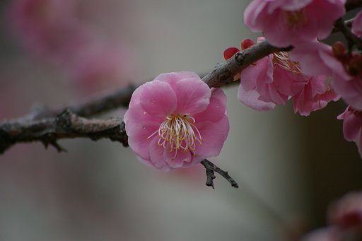 近所のお寺にて