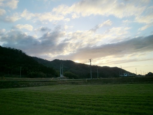 随分久しぶりの夕日