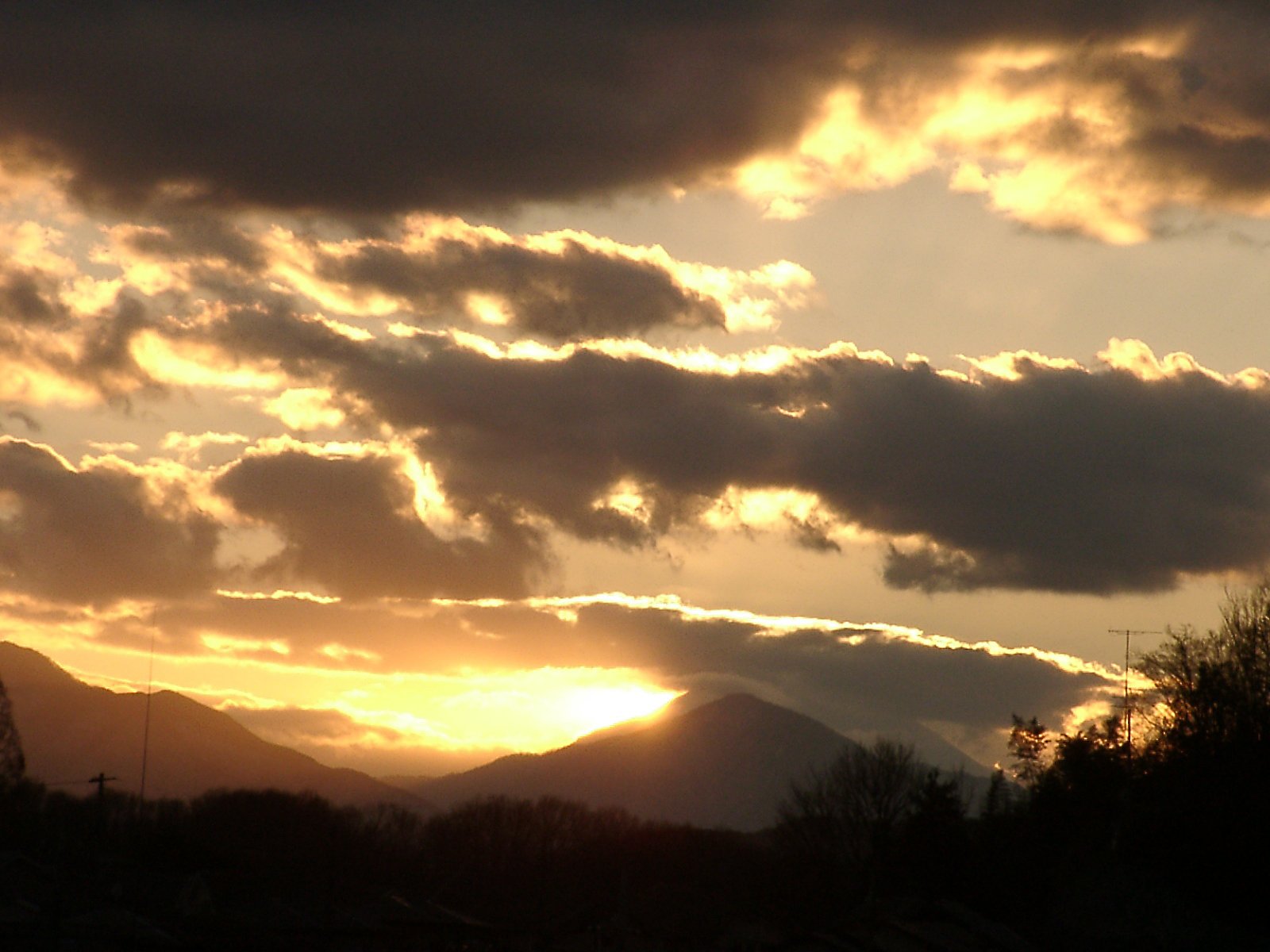 ▲日本画風の夕暮れ-09