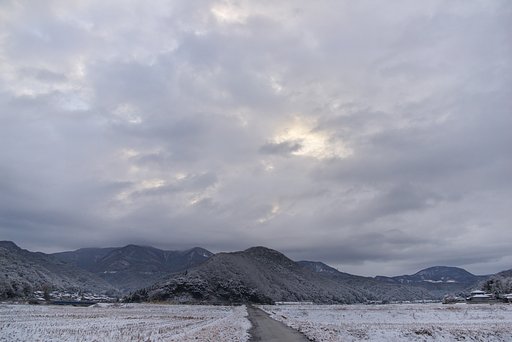雪国の後戻り！