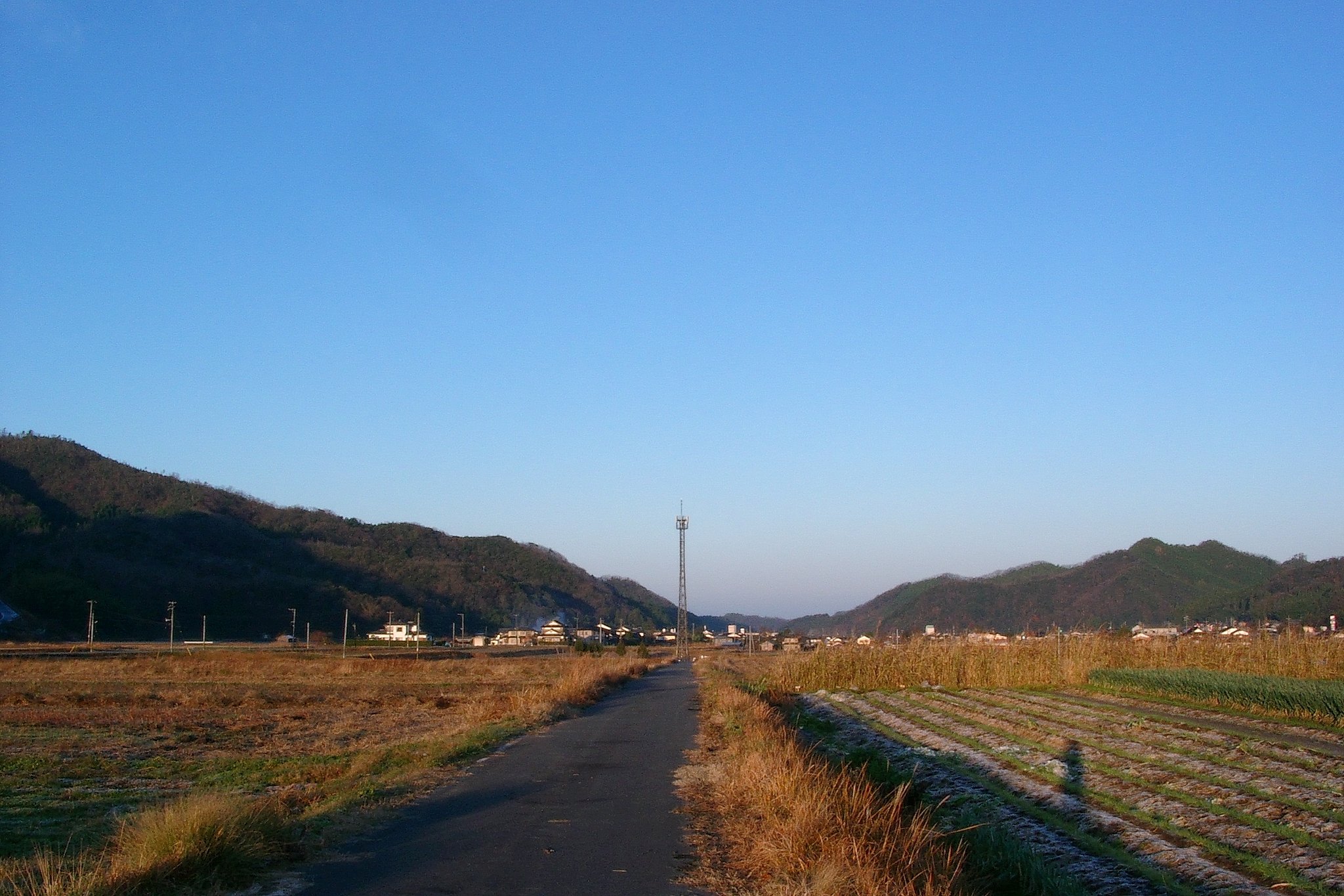 薄い朝焼けの西の空